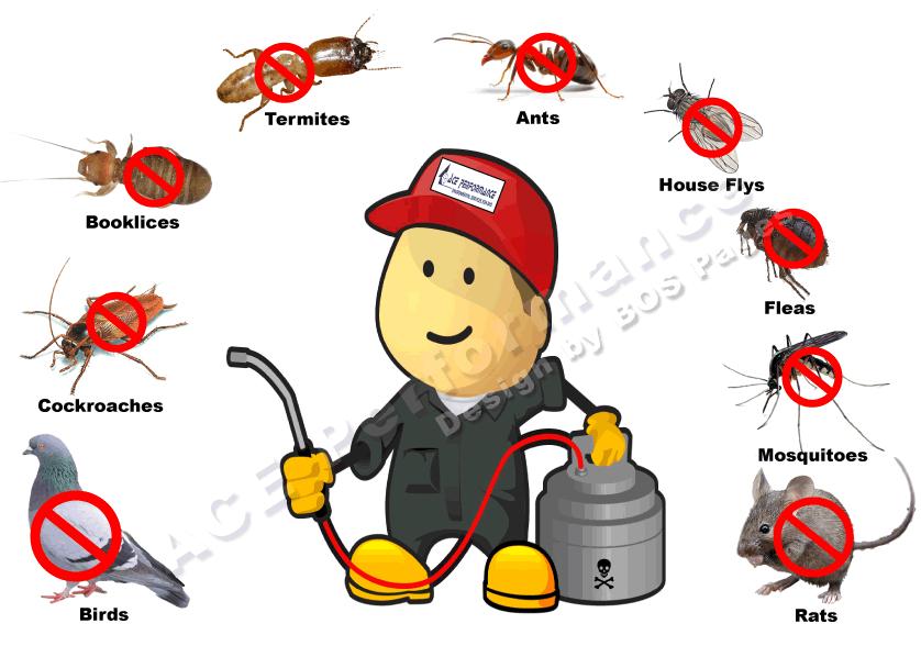 pest control services at lowest prices in NOIDA, DELHI and GURGAON Others  1673,sec-37,opp. noida golf course ,Noida 
