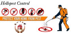 India's leading best for pest control services in chennai