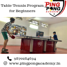 Table Tennis Program for Beginners