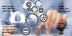 Customized Software Development (any language)